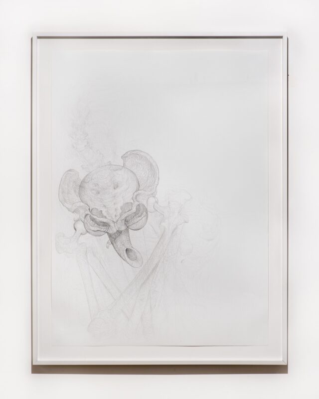Beth Collar, Hip mobility drawing (pelvic antichrist), 2021