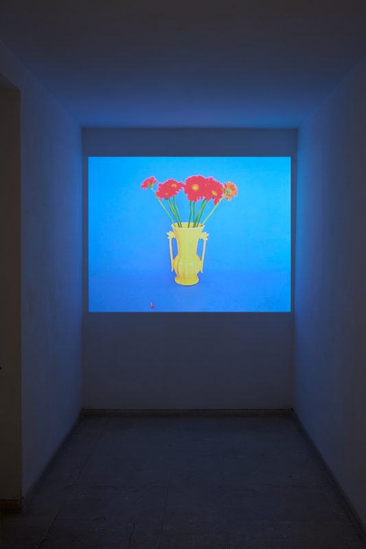 Installation view Slow Manifesto