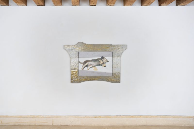 Installation view Slow Manifesto