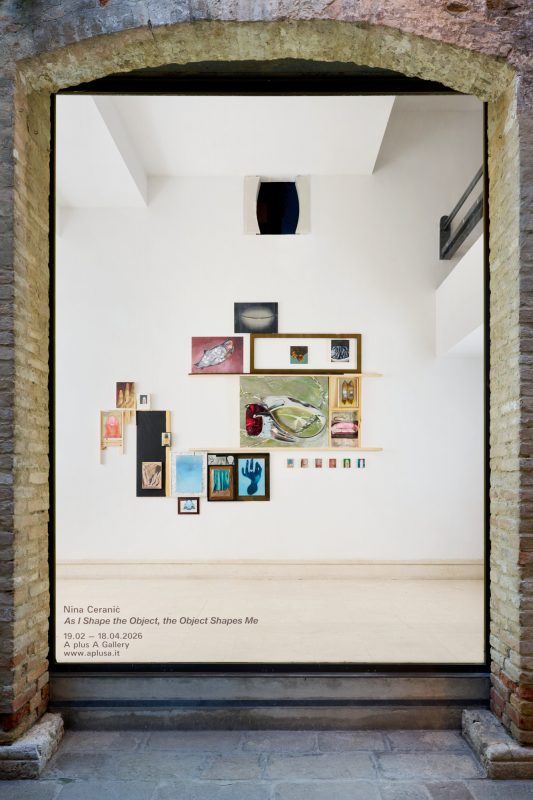 Nina Ćeranić, As I Shape the Object, the Object Shapes Me, 2026