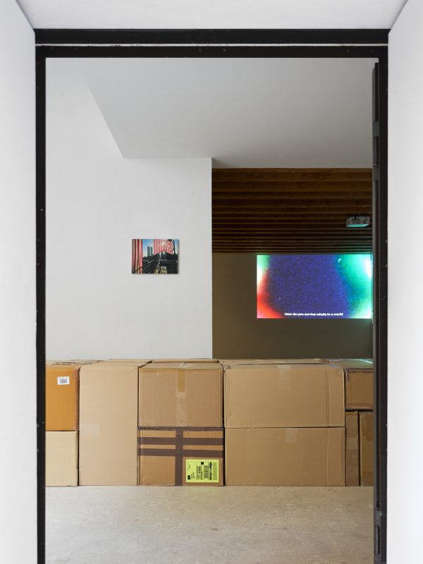 installation view Counterforms