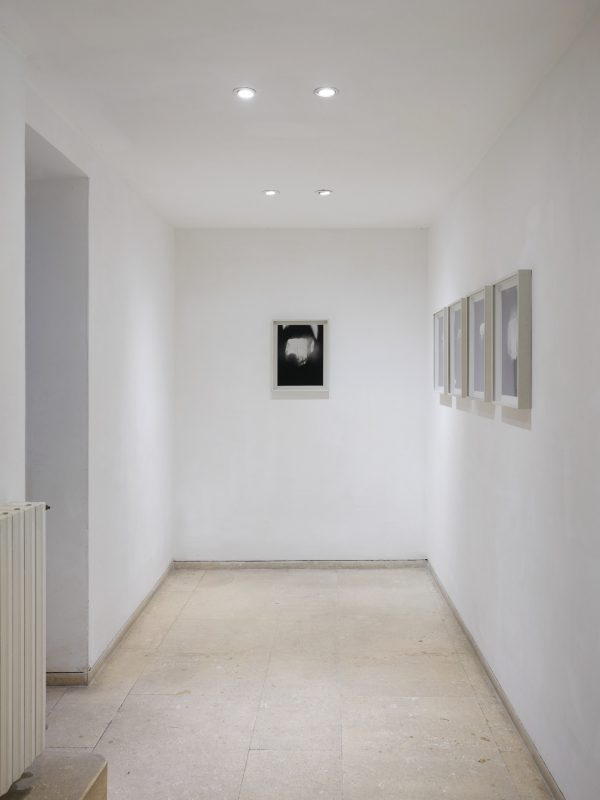 installation view Counterforms