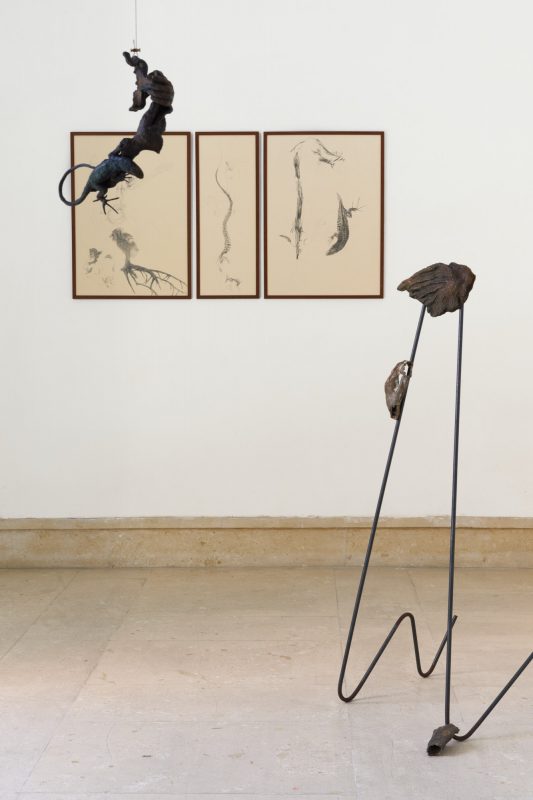 Installation view